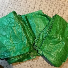 シート　3枚