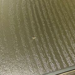 【受渡者決定】こたつ　60㎝正方形の画像