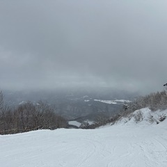 2月24日土曜日スノボ行ける人募集