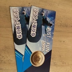 値下げ❌️ 2026年3月末まで有効 グランスノー奥伊吹 リフト1日券 2枚 ⭐️リフト1日券⭐️ グランスノー奥伊吹