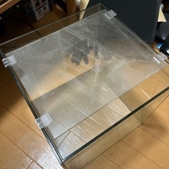 水槽　30cmスクエアの画像