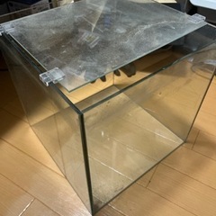 水槽　30cmスクエア