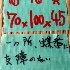 取引中☆人気のラタンチェスト 引出し&扉☆の画像