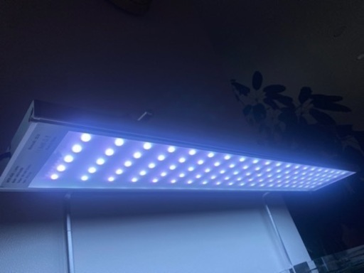 week aqua L900 RGBライト　90cm用