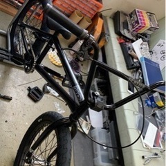 bmxの画像