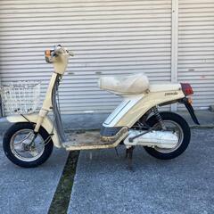 ヤマハ パッソーラ 希少前期 レストアベース 新潟の画像