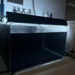 600❌600❌350. 3面内張り黒　水槽　現在商談中です！