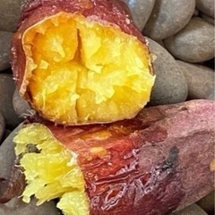 500gが300円　焼き芋　石焼き芋　紅はるか　干し芋　サツマイ...
