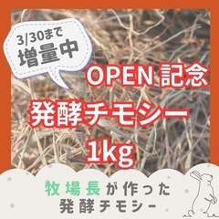 うさぎ、チンチラ、テグー、ヤギ、ポニー用　醗酵チモシー