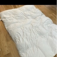羽毛布団カバーなし