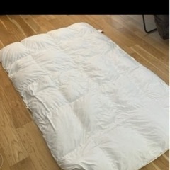 羽毛布団カバーなしの画像