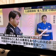 Panasonic VIERA V1 TH-P46V1 テレビ　プラズマの画像
