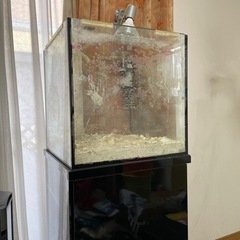 千葉県富津市まで取りに来て頂ける方、限定です。45✖️45 キュ...