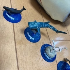 海の生き物　美ら海水族館の模型など　おもちゃ　フィギュアの画像