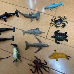 海の生き物　美ら海水族館の模型など　おもちゃ　フィギュアの画像