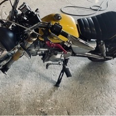 モンキー