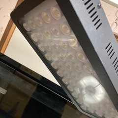 水槽一式　その他セット　熱帯魚　海水魚の画像