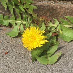 😚 😚😚春休みのバイトにもってこい❗出勤シフト自由だから遊びもバ...