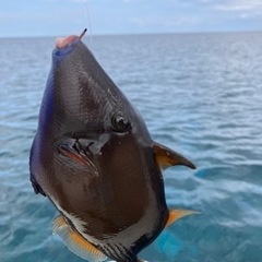 船🎣や🐟突きしてるよって方いませんか？？