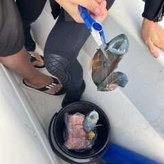 船🎣や🐟突きしてるよって方いませんか？？ - メンバー募集