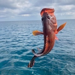 船🎣や🐟突きしてるよって方いませんか？？ - 那覇市