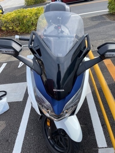 【引き渡し日決定】フォルツァ　mf13