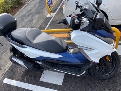 【引き渡し日決定】フォルツァ　mf13