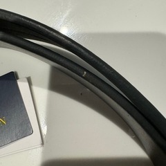 ポロ　ラルフローレン　新品ベルトの画像