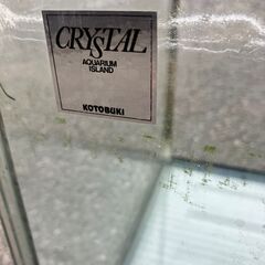 １２０㎝大型水槽の画像