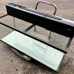 １２０㎝大型水槽の画像