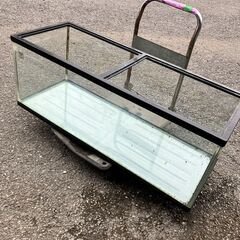 １２０㎝大型水槽の画像