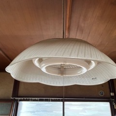 照明