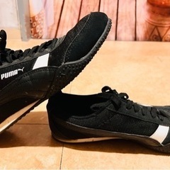 PUMA 24.5センチ　soft foam +