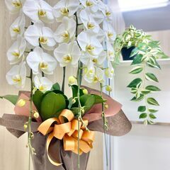 利用者さん募集中！【横浜市中区】障害福祉サービス『ワンヘルスラボ』就労継続支援B型の画像