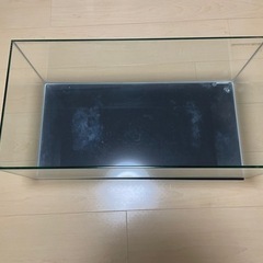 お渡し予定水槽600LOW