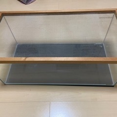 お渡し予定水槽600LOWの画像