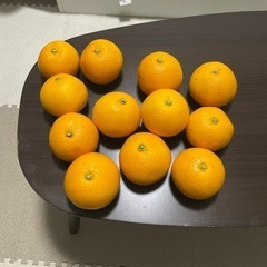 大きめの蜜柑