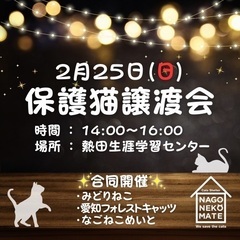 名古屋市 保護猫譲渡会 2/25の画像