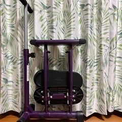 レッグマジックX パープルの画像