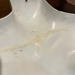 マネキン　二つの画像