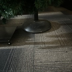 お店:クリスマスツリーの画像