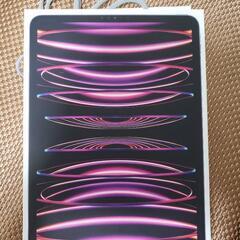 Apple Ipad Pro 第4世代11インチWi_Fiモデル...