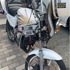 NS1 族車仕様　ノーコール車の画像