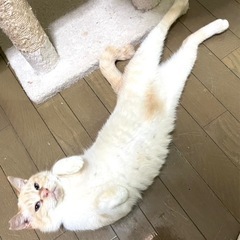 5歳。超甘えん坊な男の子