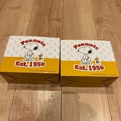 スヌーピーグラスペアグラス
