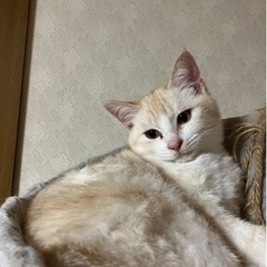 人が大好き♡甘えん坊のルーキーくん　約半年