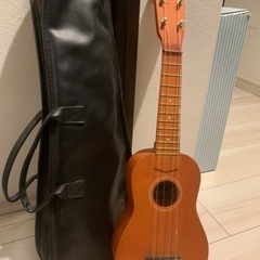 楽器 弦楽器、ウクレレ