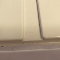 衣装ケース　4つの画像