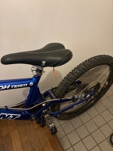 GIANT DH team