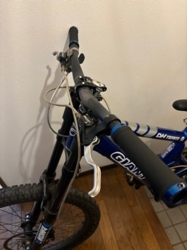 GIANT DH team